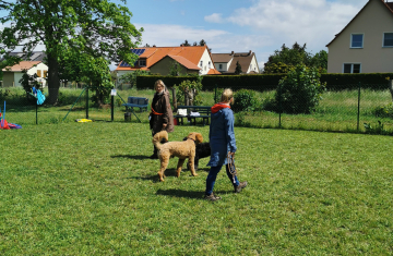 gemischterKurs