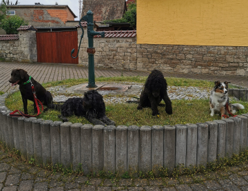 outdoorkurs